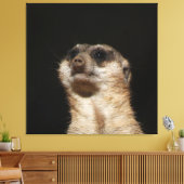 Meerkat 032 leinwanddruck (Insitu (Wohnzimmer))