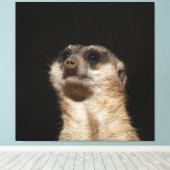 Meerkat 032 leinwanddruck (Insitu (Holzboden))