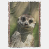 Meerkat 034 decke (Vorderseite Vertikal)