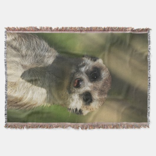 Meerkat 034 decke (Vorderseite)