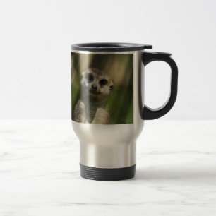 Meerkat 034 reisebecher