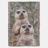 Meerkat 035 decke (Vorderseite Vertikal)