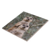 Meerkat 035 fliese (Seite)