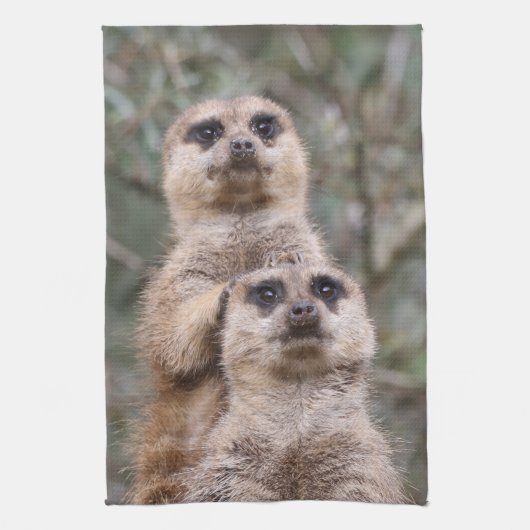 Meerkat 035 geschirrtuch (Vertikal)