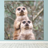 Meerkat 035 leinwanddruck (Insitu (Holzboden))