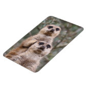 Meerkat 035 magnet (Linke Seite)
