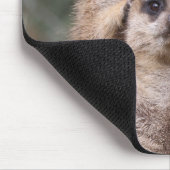 Meerkat 035 mousepad (Ecke)