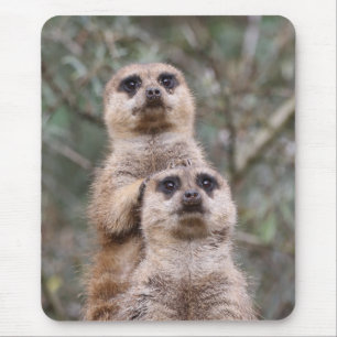 Meerkat 035 mousepad