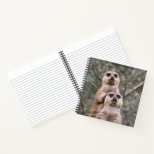 Meerkat 035 notizblock (Innenseite)