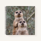 Meerkat 035 notizblock (Vorderseite)
