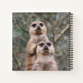 Meerkat 035 notizblock (Rückseite)