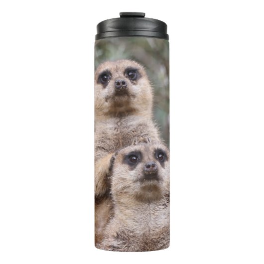 Meerkat 035 thermosbecher (Vorderseite)