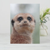 Meerkat 036 feiertagskarte (Stehend Vorderseite)