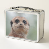 Meerkat 036 metall brotdose (Rückseite)