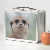 Meerkat 036 metall brotdose (Beispiel)