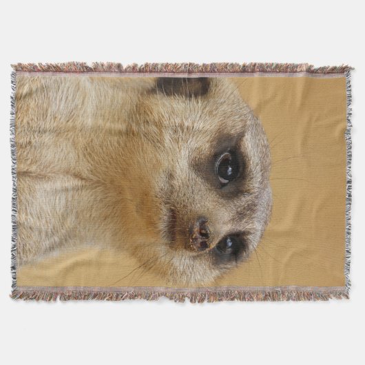 Meerkat 037 decke (Vorderseite)
