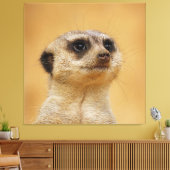 Meerkat 037 leinwanddruck (Insitu (Wohnzimmer))