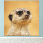Meerkat 037 leinwanddruck (Insitu (Holzboden))