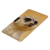 Meerkat 037 magnet (Linke Seite)