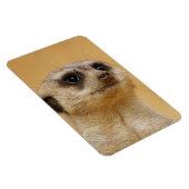 Meerkat 037 magnet (Rechte Seite)