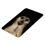 Meerkat 040 magnet (Linke Seite)