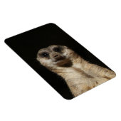 Meerkat 040 magnet (Rechte Seite)