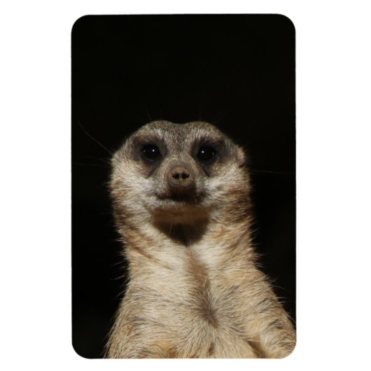 Meerkat 040 magnet (Vertikal)