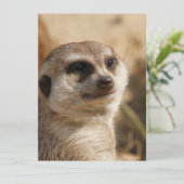 Meerkat 041 feiertagskarte (Stehend Vorderseite)