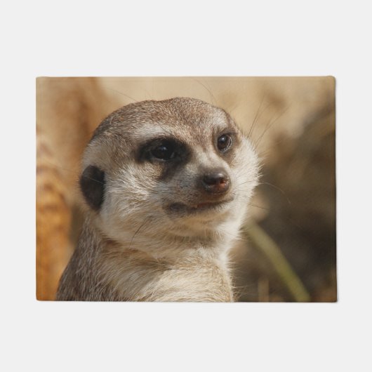 Meerkat 041 fußmatte (Vorderseite)