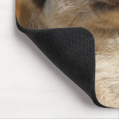 Meerkat 041 mousepad (Ecke)