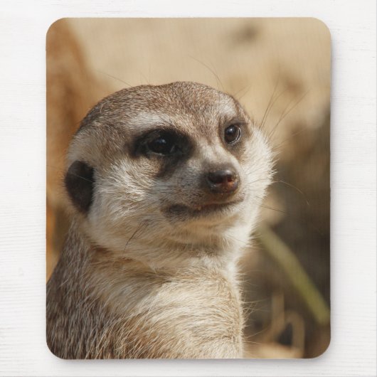 Meerkat 041 mousepad (Vorne)