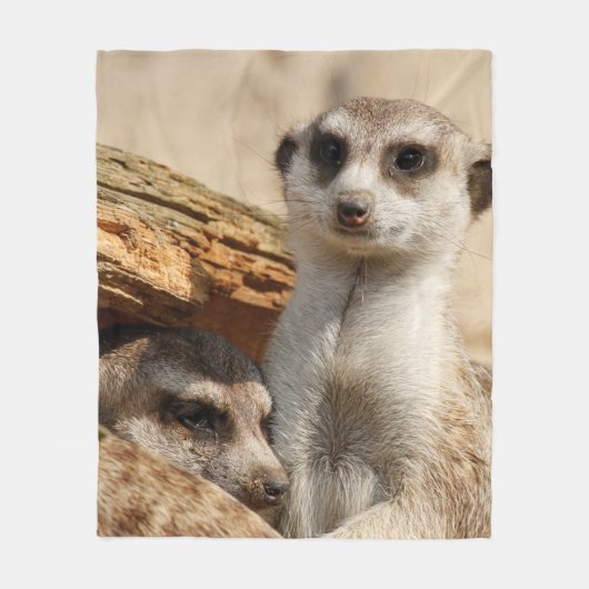 Meerkat 042 fleecedecke (Vorderseite)