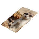 Meerkat 042 magnet (Linke Seite)