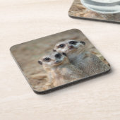 Meerkat 047 getränkeuntersetzer (Linke Seite)