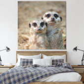 Meerkat 047 leinwanddruck (Insitu (Schlafzimmer))