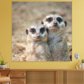 Meerkat 047 leinwanddruck (Insitu (Wohnzimmer))