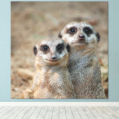 Meerkat 047 leinwanddruck (Insitu (Holzboden))