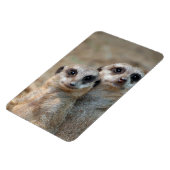 Meerkat 047 magnet (Linke Seite)