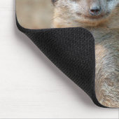 Meerkat 047 mousepad (Ecke)