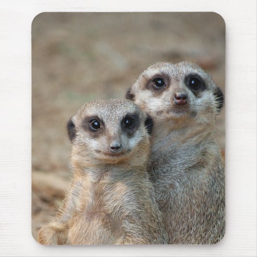 Meerkat 047 mousepad (Vorne)