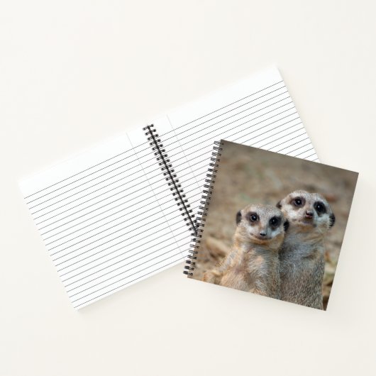 Meerkat 047 notizblock (Innenseite)