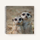 Meerkat 047 notizblock (Vorderseite)