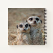Meerkat 047 notizblock (Rückseite)