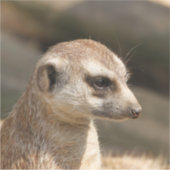 Meerkat 048 aufkleber (Vorderseite)