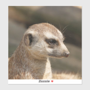 Meerkat 048 aufkleber
