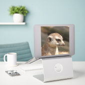 Meerkat 048 aufkleber (Laptop auf Schreibtisch)
