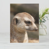 Meerkat 048 feiertagskarte (Stehend Vorderseite)