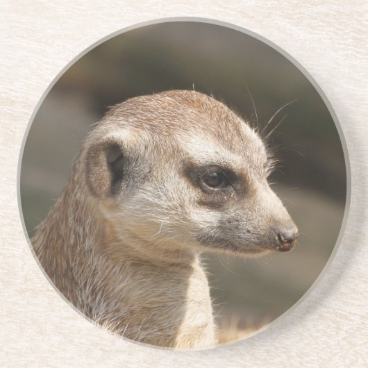 Meerkat 048 getränkeuntersetzer (Vorne)