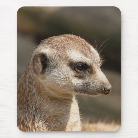 Meerkat 048 mousepad (Vorne)