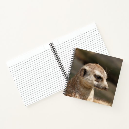 Meerkat 048 notizblock (Innenseite)